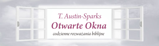 Logo_Austin_windows